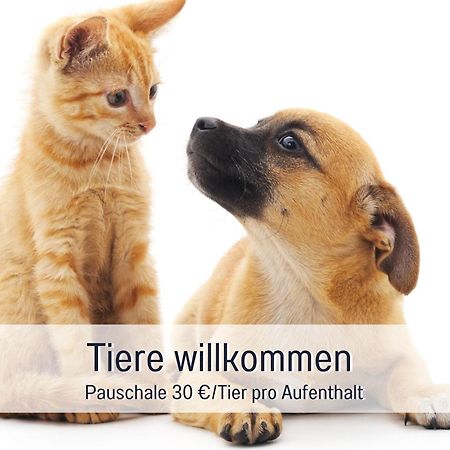 Rosmarin - Kuschelige Fewo - Romantik & Entspannung Im Whirlpool Auf Privater Terrasse, Ruhe & Hund Willkommen - By Ferienwohnenamsee - Uberlingen Εξωτερικό φωτογραφία