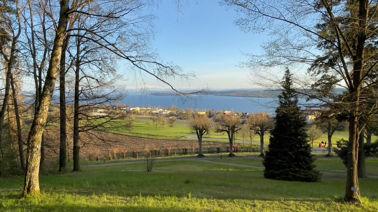 Rosmarin - Kuschelige Fewo - Romantik & Entspannung Im Whirlpool Auf Privater Terrasse, Ruhe & Hund Willkommen - By Ferienwohnenamsee - Uberlingen Εξωτερικό φωτογραφία